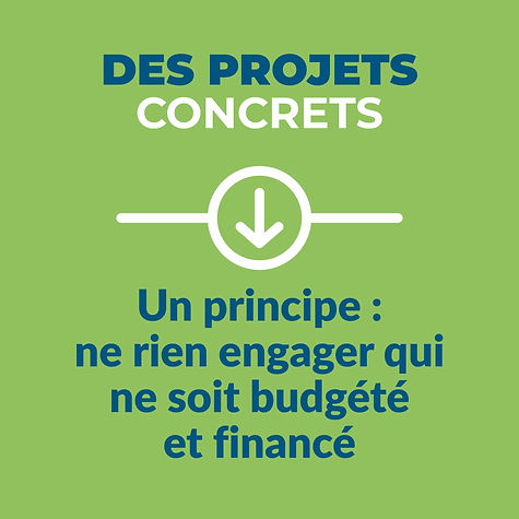 Proj-Budget.jpg